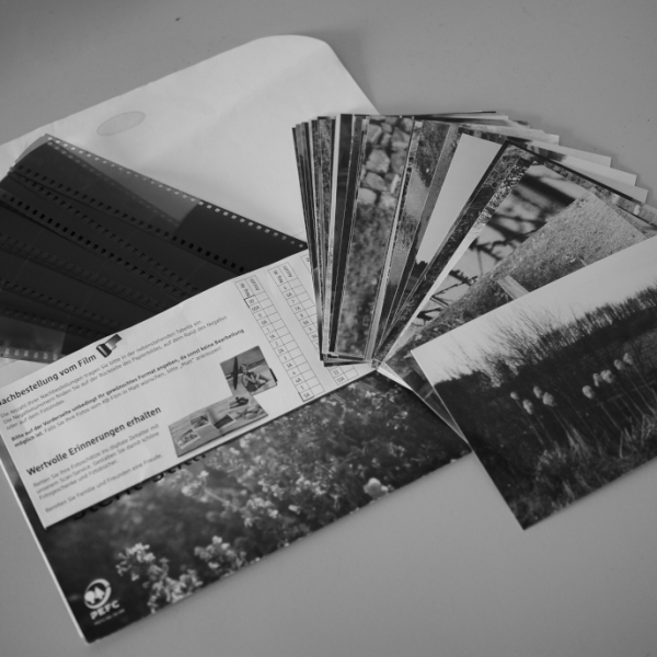 (M)ein Ausflug in die analoge Fotografie - Schluß